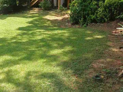 Lawn Care service in Glendale, 85301