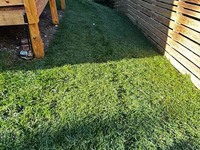 Lawn Care service in Arden, 28704