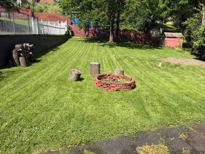 Lawn Care service in Dormont, 15216