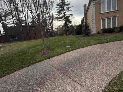 Lawn Care service in St Matthews, 40207