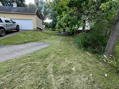 Lawn Care service in Dormont, 15216
