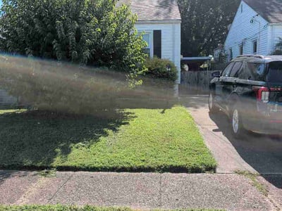 Lawn Care service in St Matthews, 40207