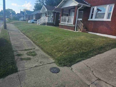 Lawn Care service in St Matthews, 40207
