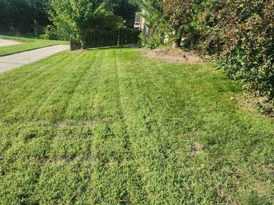 Lawn Care service in Bountiful, 84010