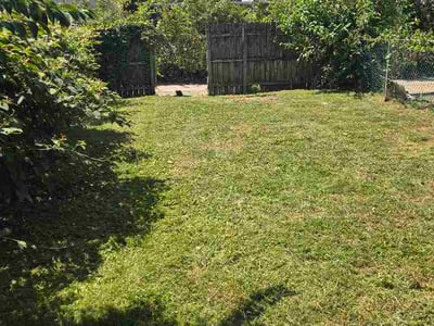 Lawn Care service in St Matthews, 40207