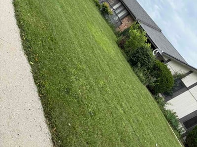 Lawn Care service in Wausau, 54403