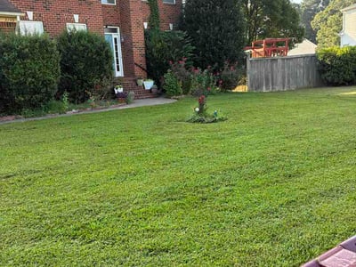 Lawn Care service in Tehachapi, 93561