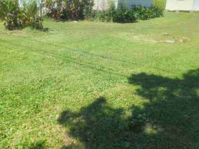 Lawn Care service in New Bern, 28560