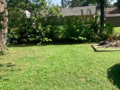 Lawn Care service in Green Valley, 85614