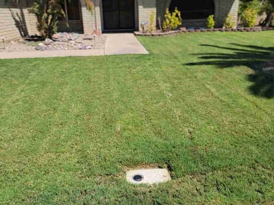 Lawn Care service in Chandler, 85225