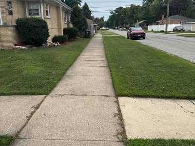 Lawn Care service in Dolton, 60419