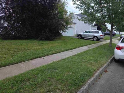 Lawn Care service in Berlin, 08009