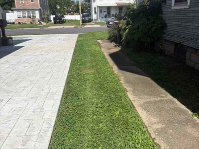 Lawn Care service in Berlin, 08009