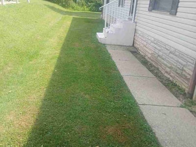 Lawn Care service in Crete, 60417