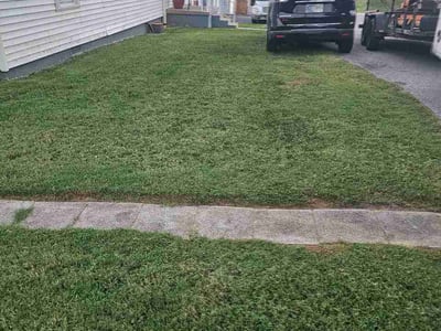 Lawn Care service in Corydon, 47112