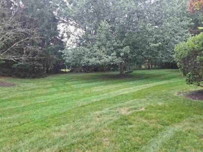 Lawn Care service in Haysville, 47546