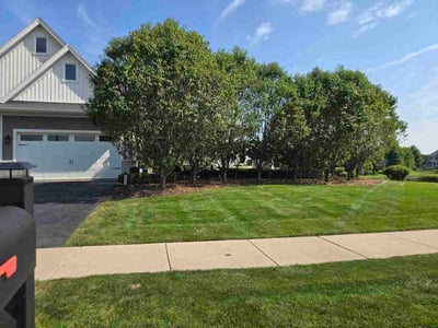 Lawn Care service in Surprise, 85374