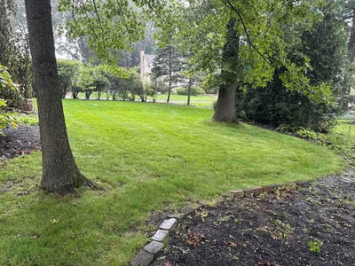Lawn Care service in Haysville, 47546