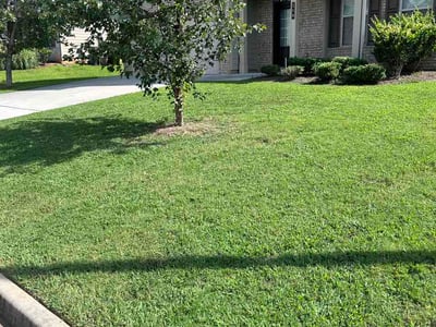 Lawn Care service in Corbin, 40701