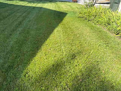 Lawn Care service in Erlanger, 41018