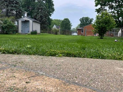 Lawn Care service in Erlanger, 41018