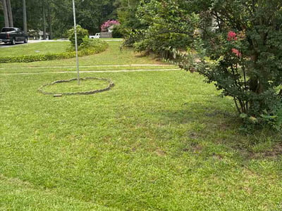 Lawn Care service in Taft, 93268