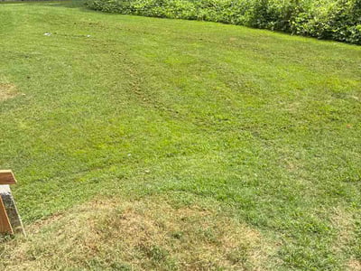 Lawn Care service in Inland Empire, 92262