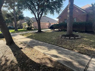 Lawn Care service in Alamo, 78516