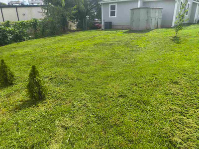 Lawn Care service in Kingston, 37763