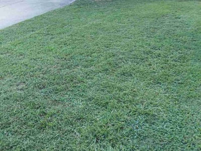 Lawn Care service in Benton, 72015