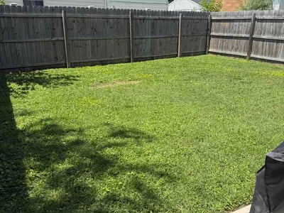 Lawn Care service in Corbin, 40701