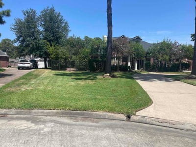 Lawn Care service in Donna, 78537