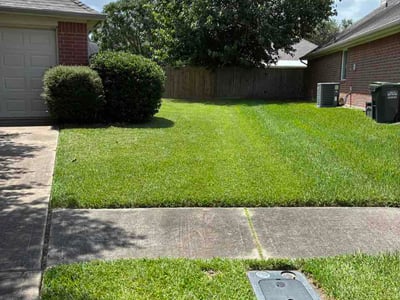 Lawn Care service in Donna, 78537