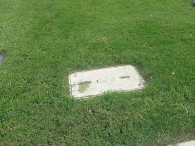 Lawn Care service in Alamo, 78516