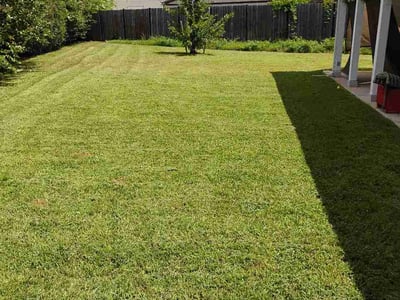 Lawn Care service in Alamo, 78516