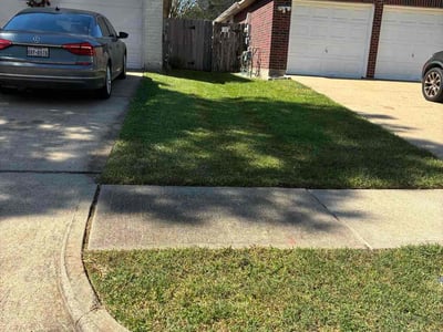 Lawn Care service in Alamo, 78516