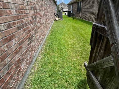 Lawn Care service in Alamo, 78516