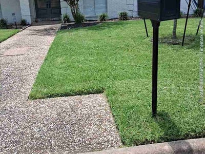 Lawn Care service in Alamo, 78516