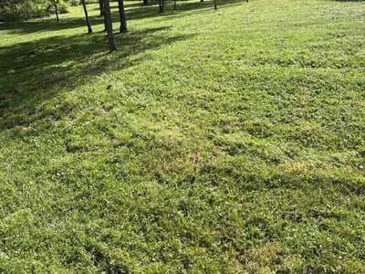 Lawn Care service in Ross Township, 15237