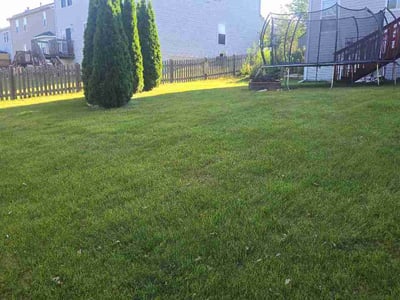 Lawn Care service in Antioch, 60002