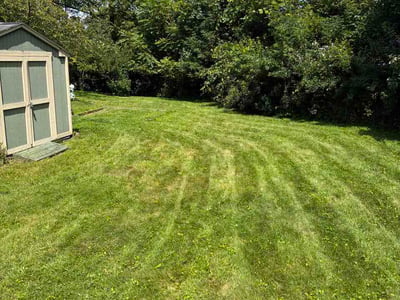 Lawn Care service in Ross Township, 15237