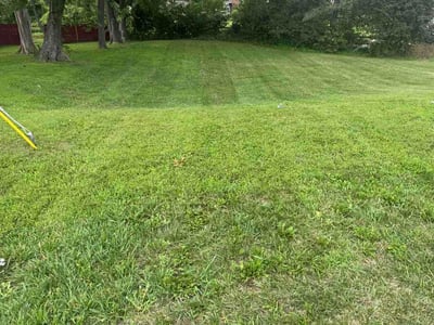 Lawn Care service in Gardner, 66030
