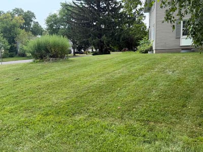 Lawn Care service in Syracuse, 13202