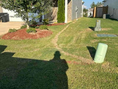 Lawn Care service in ,