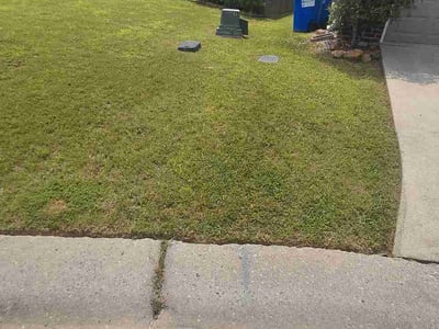 Lawn Care service in Chelsea, 35043
