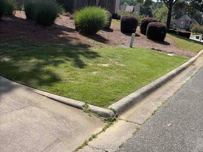 Lawn Care service in Chelsea, 35043