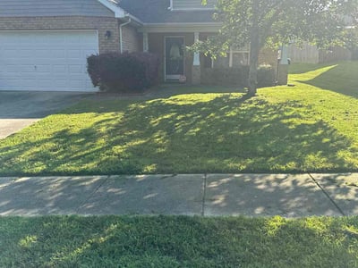Lawn Care service in Tuscon, 85705