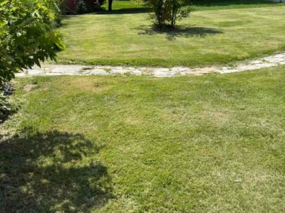 Lawn Care service in Bakersfield, 93301