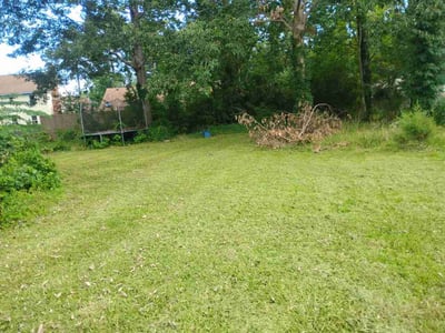 Lawn Care service in Bakersfield, 93301