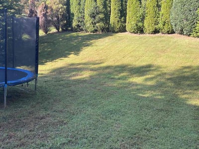 Lawn Care service in Bessemer City, 28016